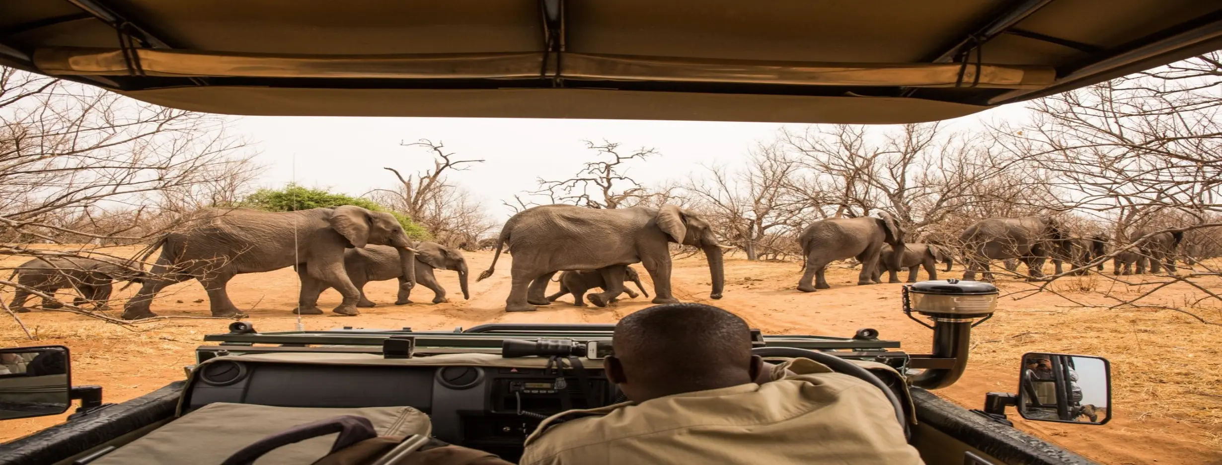 Image for Chobe National Park